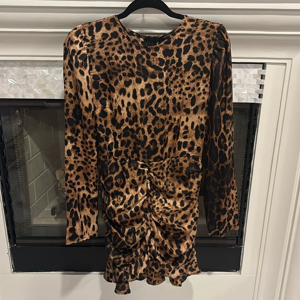 Leopard Long Sleece Ruched Mini Dress